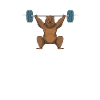 Weightlifting weightlifter barbell