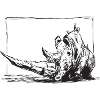 Rhinoceros