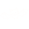 young bat over white