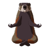 Meditating Yoga Groundhog