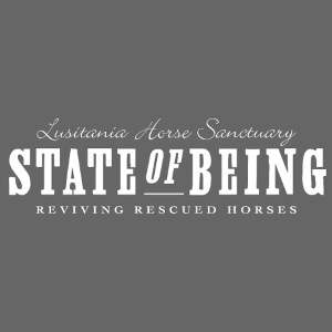 state of being white