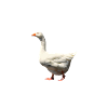 Goose