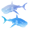 Sharks