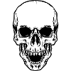 Skull head