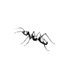 Ants Funny T Shirt