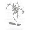 Skate | Skater | Skateboard | Skating