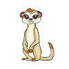 Erdmännchen