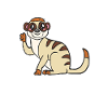 meerkat