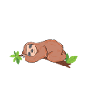 sloth