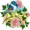 Bunter Vogel