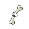 Broken bone