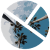 Palm tree