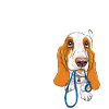 Basset Hound Dad