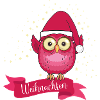 Weihnachtseule - Frohen Weihnachten