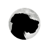 German Wirehaired Pointer Moon Hound Dogs