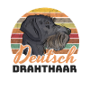 German Wirehaired Pointer Hound Dog