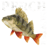 Perch fishing