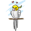 Cockatiel
