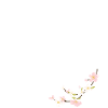 fleurs
