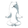 Meditierender JapanSpitz Hund