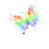 Rainbow butterfly