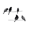 T-shirt "Oiseaux", oiseaux