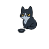 intolerant idiots lactose intolerant gift