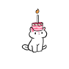 Cat cake cat owner gift