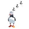Penguin Question Mark