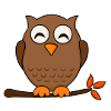 Owl owl