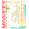 Monkey monkey chimp gift