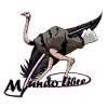 Ostrich bird