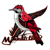 Red Flytrap Bird