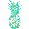 DIES DAS ANANAS