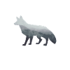 Fuchs Füchse Natur Wald