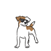 Coolest Jack Russel Mom