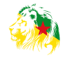 Tee shirt Guyane lion