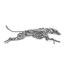 whippetengine