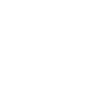 Big cat