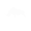 Rhino rhinoceros
