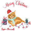 Christmas Cat Maine Coon