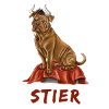 Stier