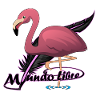 Flamenco bird