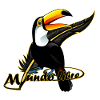 Vogel Tucan