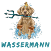 wassermann