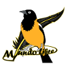 Turpial Bird