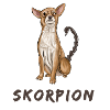 skorpion