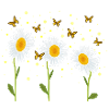 Daisies, butterflies