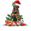 Rottweiler Christmas