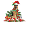 German Shepherd Christmas